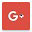 Google+ icon